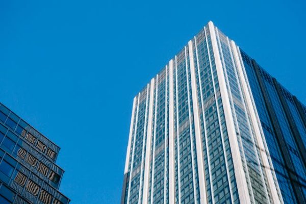 pexels-laura-tancredi-7077988